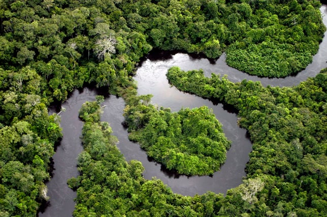 Amazon Peru