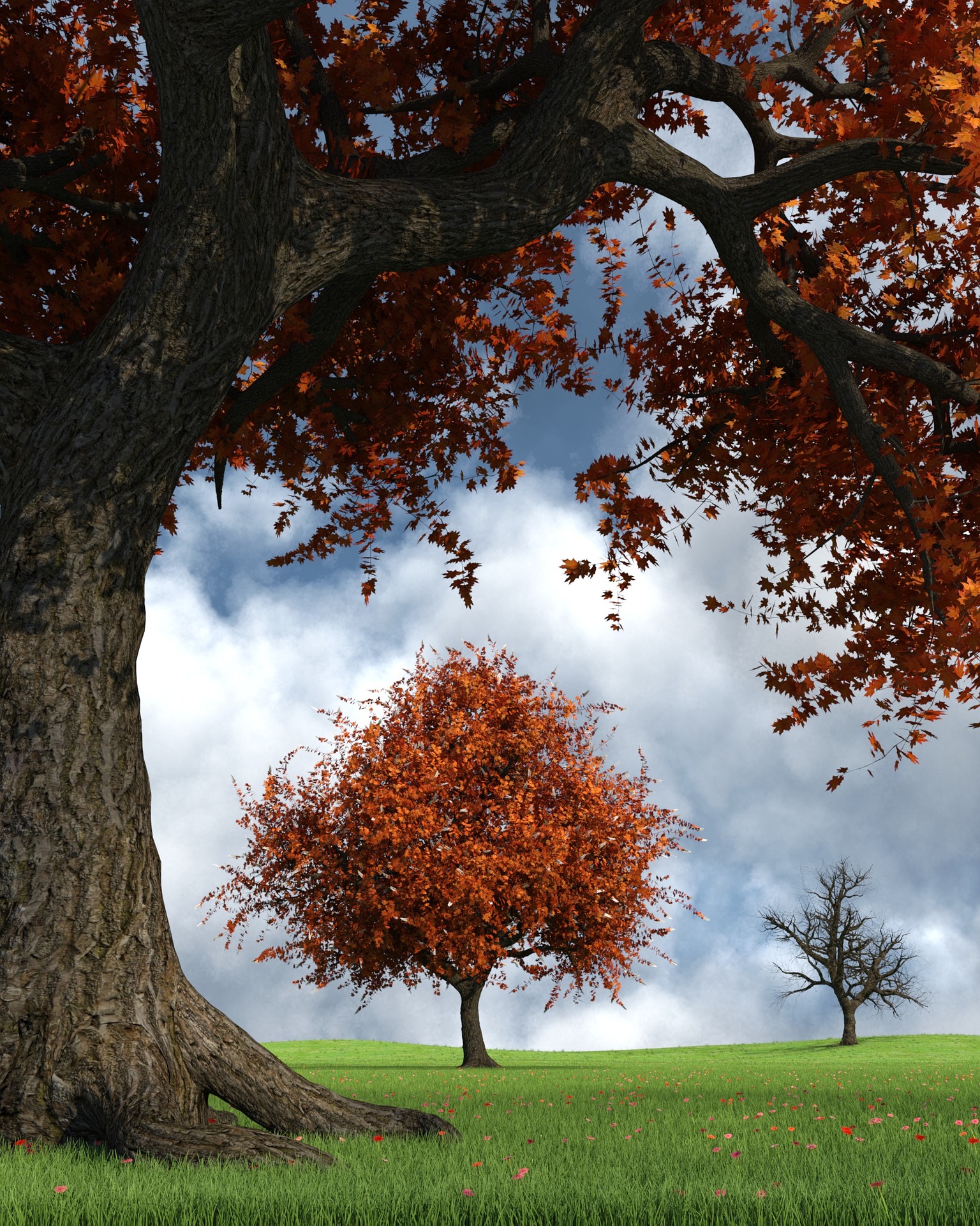 Autumn trees