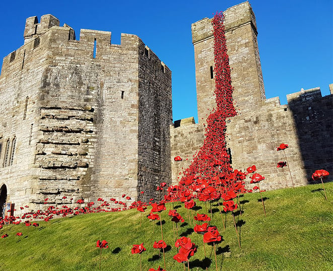 poppies tour UK, WWI memorial
