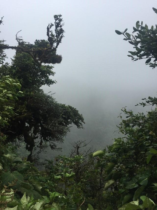 Monteverde Cloud Forest Photo-1