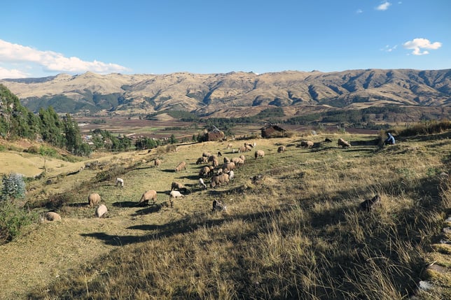 Sacred Valley Peru